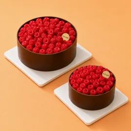 Chocolate and raspberry birthday cake